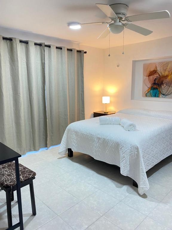 Departamento Colibrí - 3