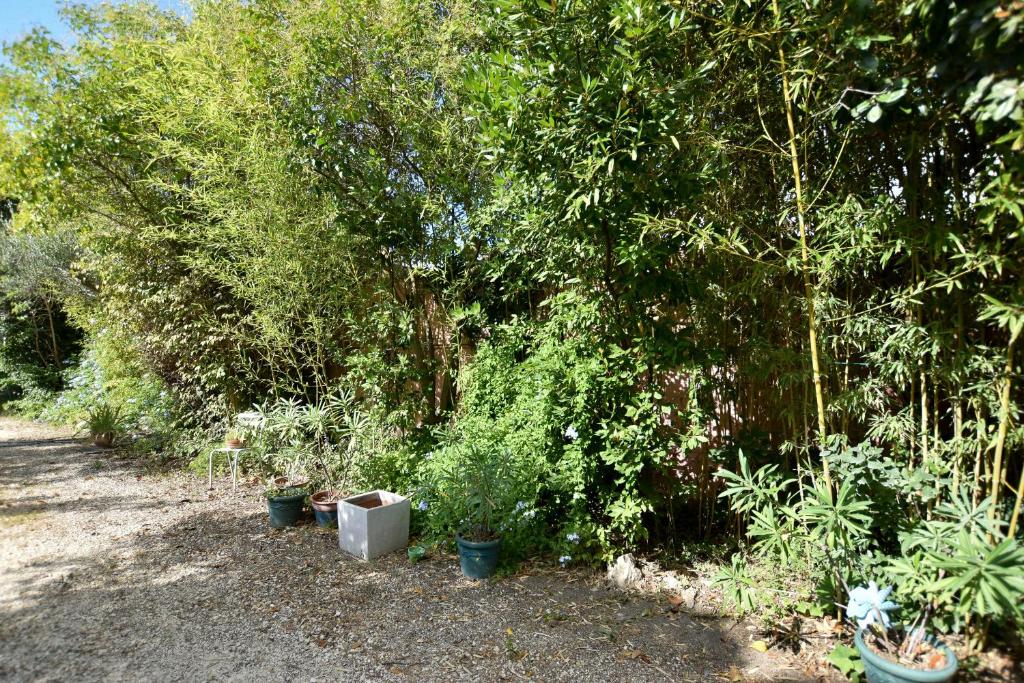 Moulin Rose, Parking - Jardin - 4