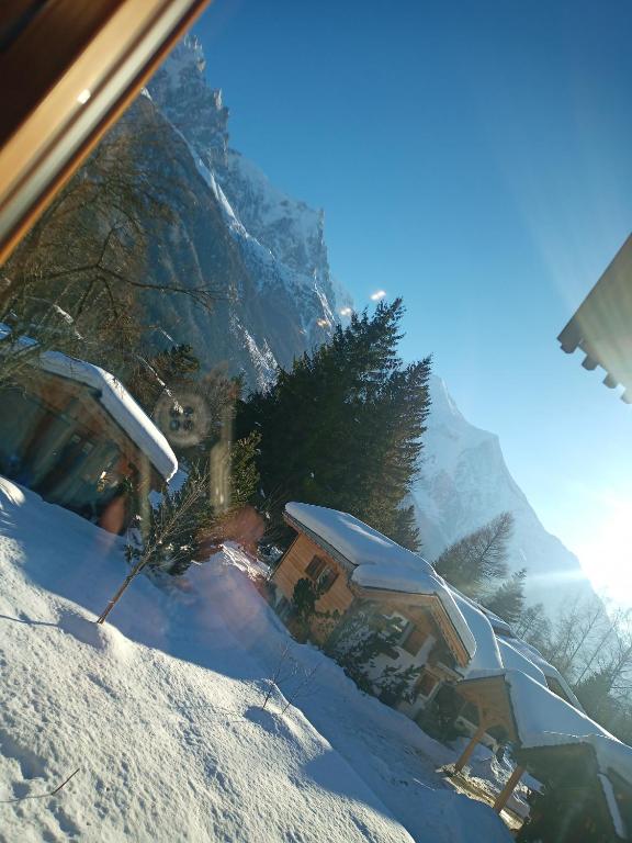 La Chaine du Mont-blanc - 5