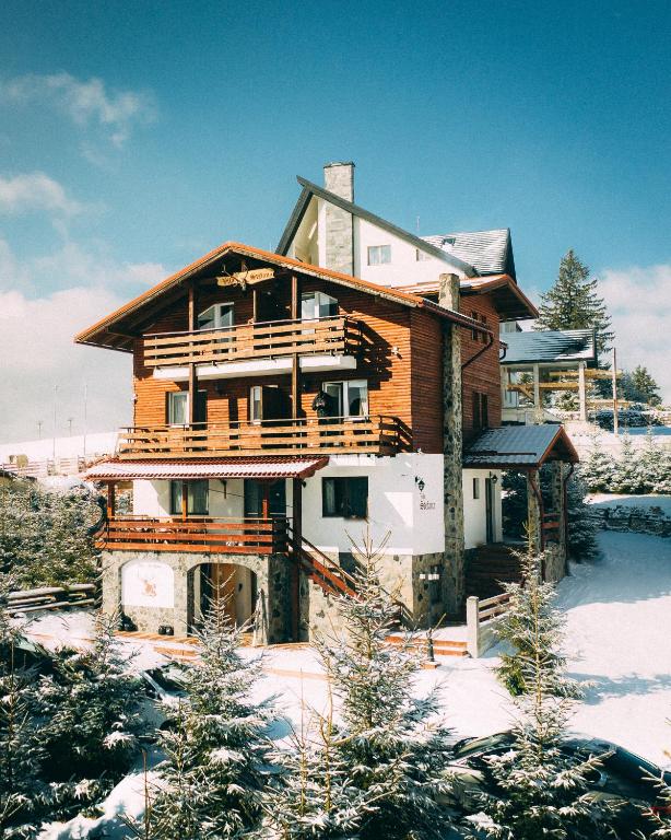 Vila Stefana Paltinis — Hotel in Paltinis
