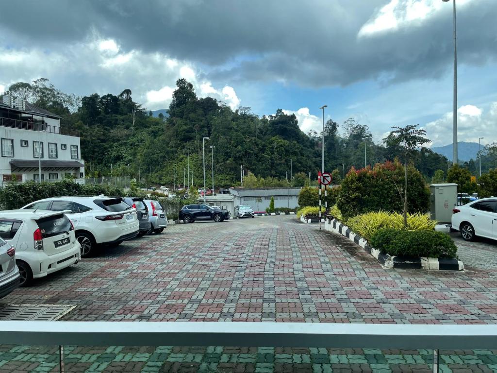 View