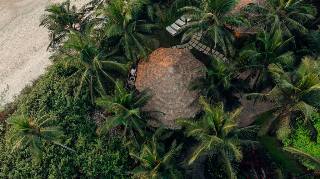 Surrounding environment
