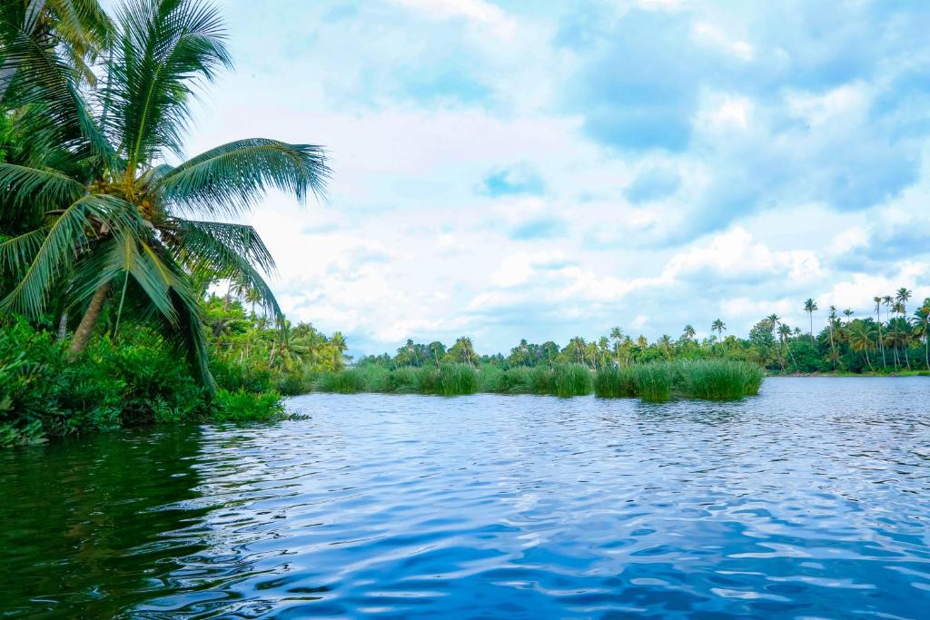 River Whisper Homestay photo