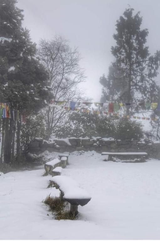 shalom inn home stay photo