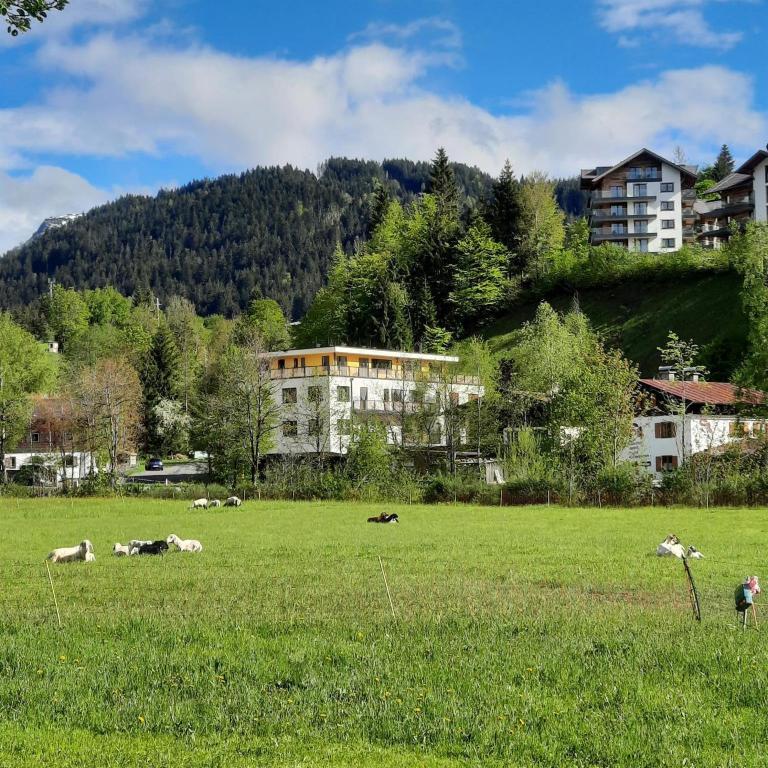 Boutique-Apartments Familie Jarosch Fieberbrunn "Freier Eintritt in das örtliche Hallenbad inklusive Saunalandschaft oder zum Badesee" - 1