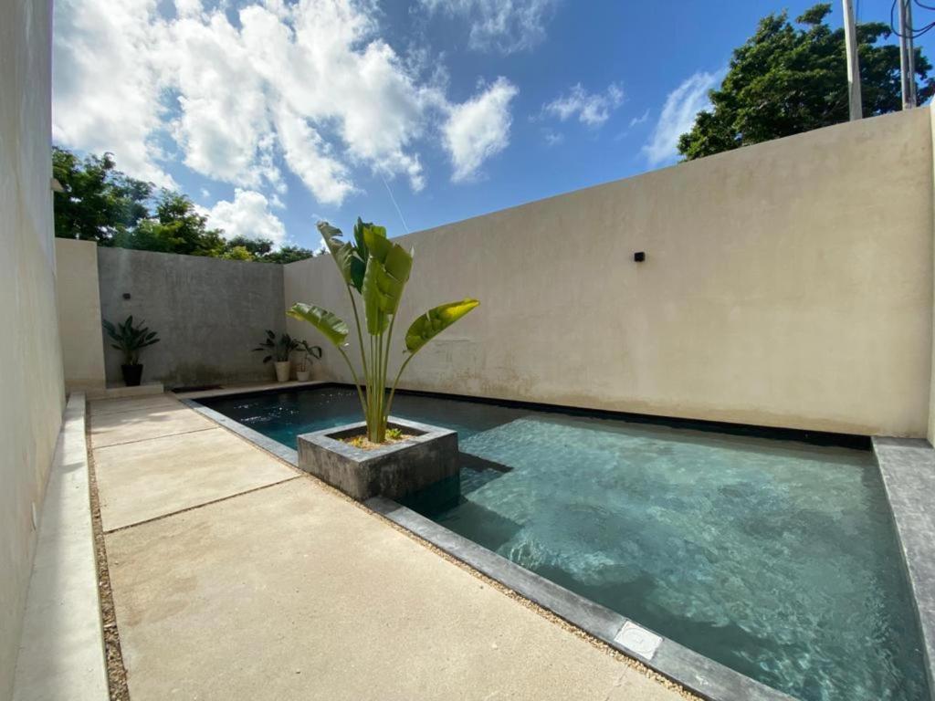 Zen Tulum - 1