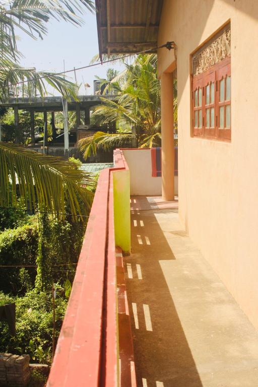 Sunshine Guest photo