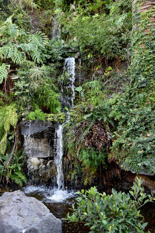 FERGUS Puerto de la Cruz — Attractions in the area in Puerto de la Cruz, Canary Islands
