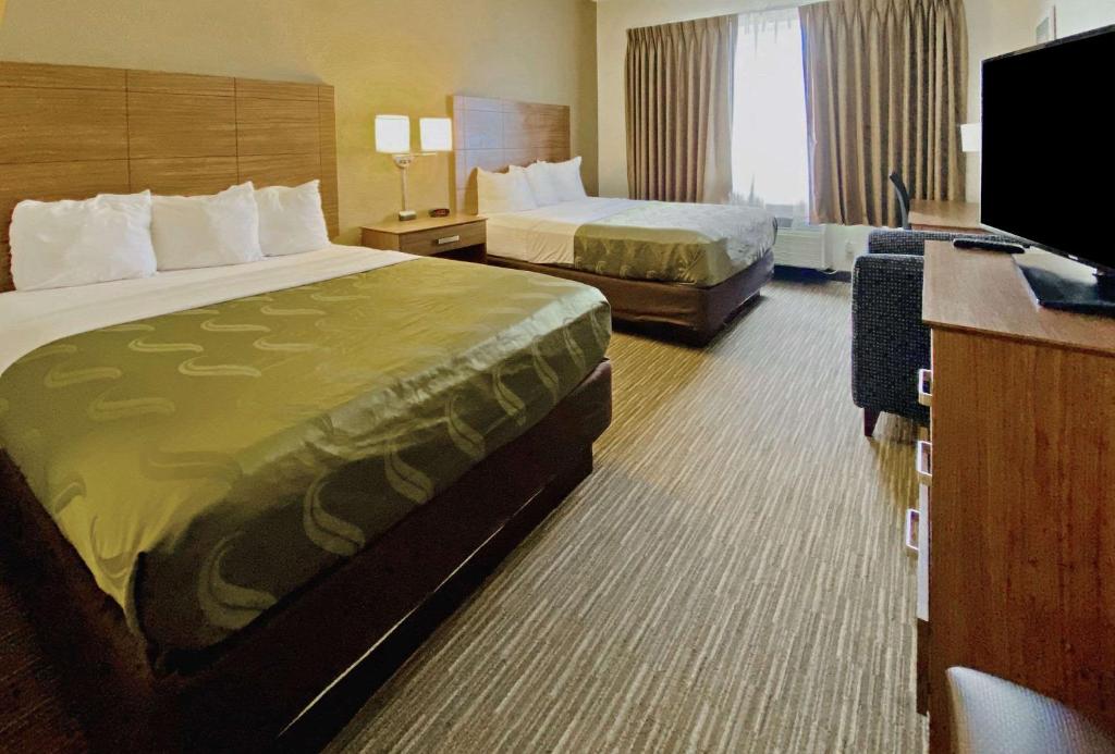 Quality Suites University photo