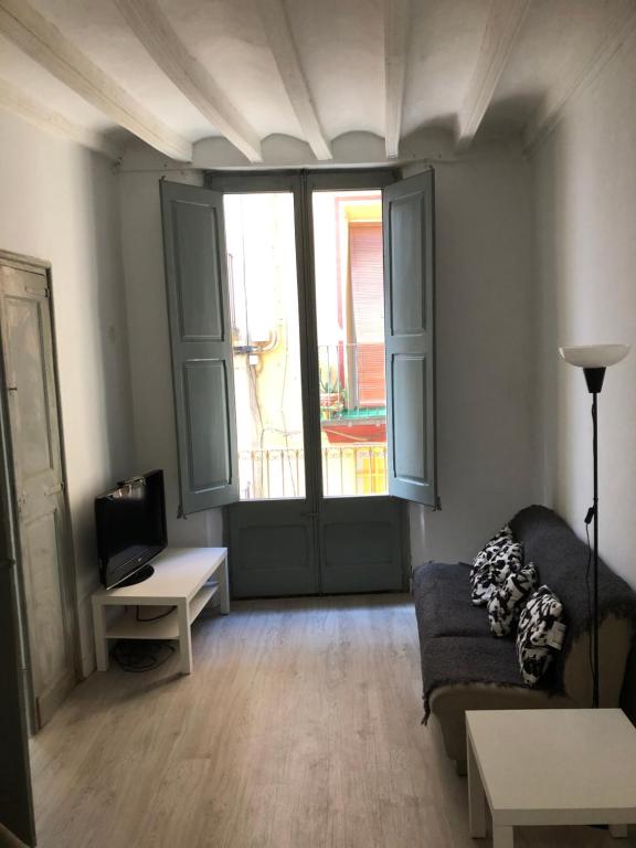 Cal Mestre- Olot, Olot