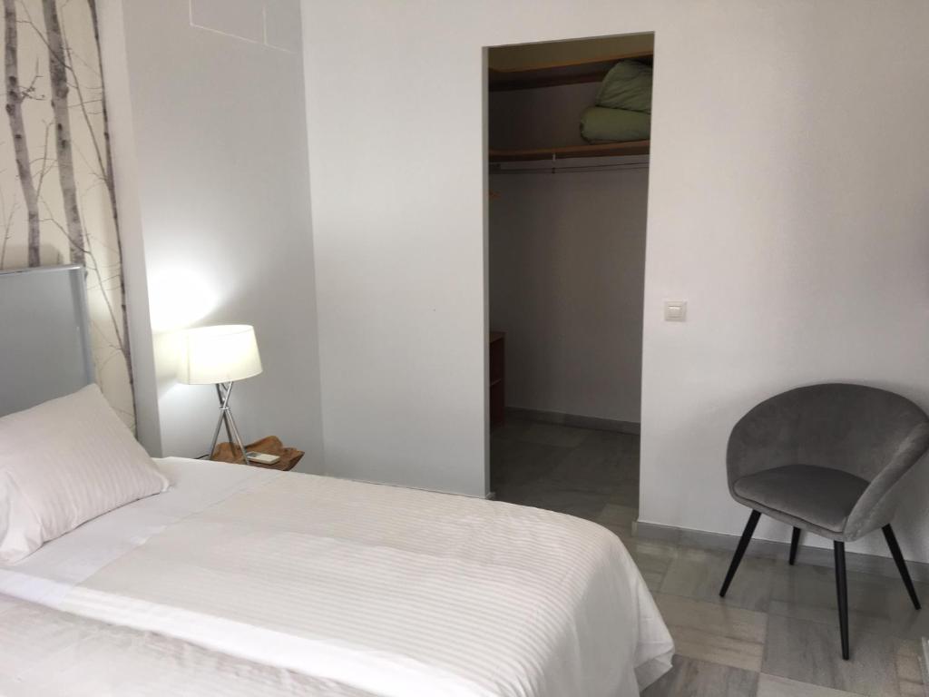 Correduria Premium Apartments - 5