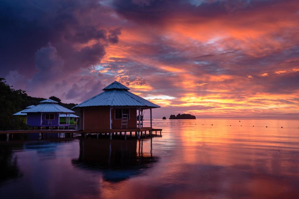 Mango Creek Lodge photo