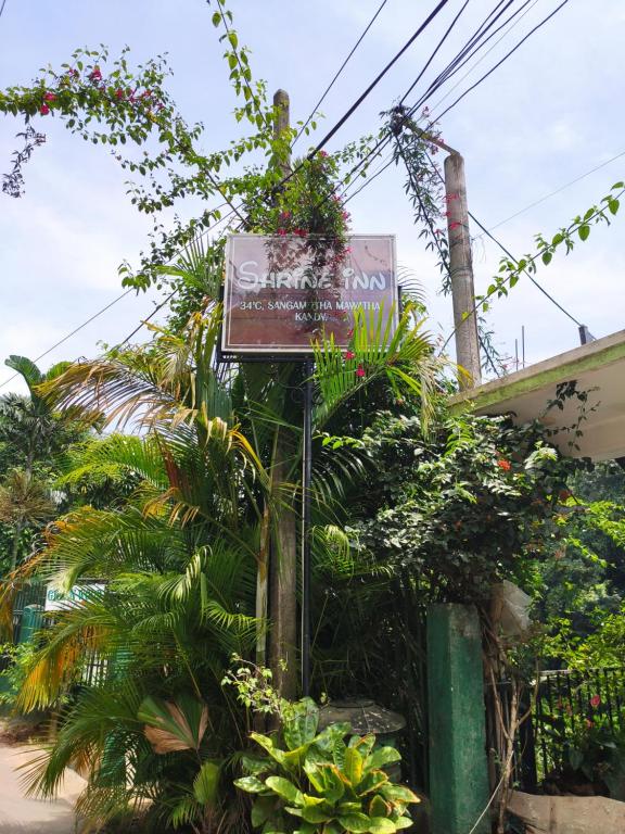 Shrine Inn photo