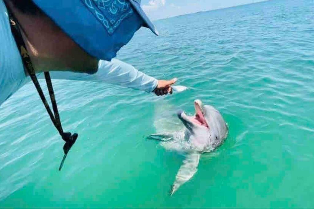 La Buena Pescada - Aransas Pass, TX Coastal Cottage!
