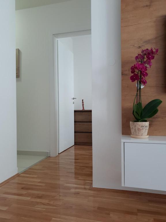Tvoj Apartman photo