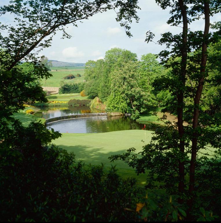 Golf course [on-site]