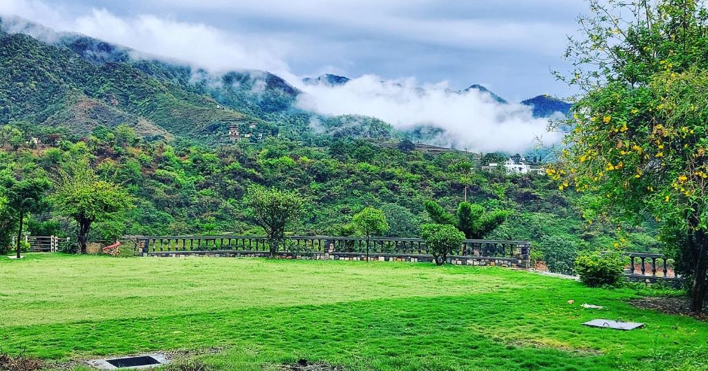 Olive Greens Homestay — Hotel in Dehradun