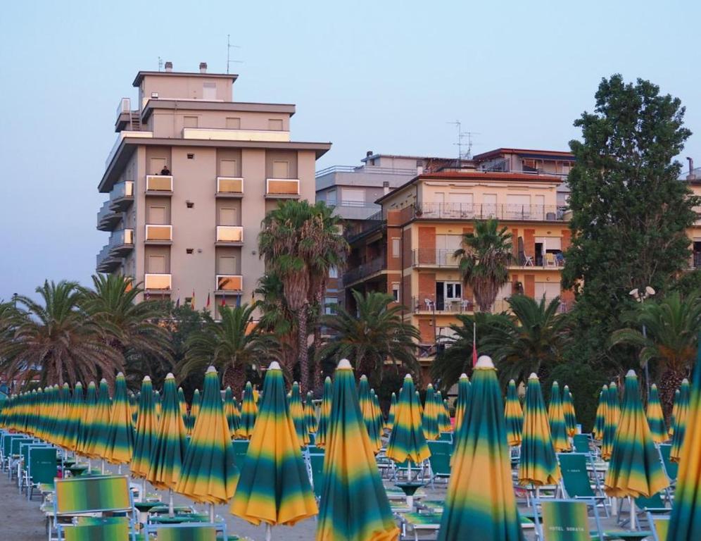 Hotel Soraya - 5
