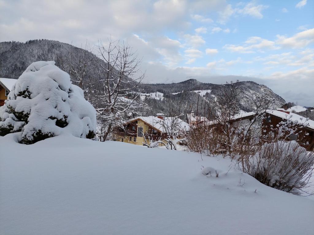 Haus Barbara - 3