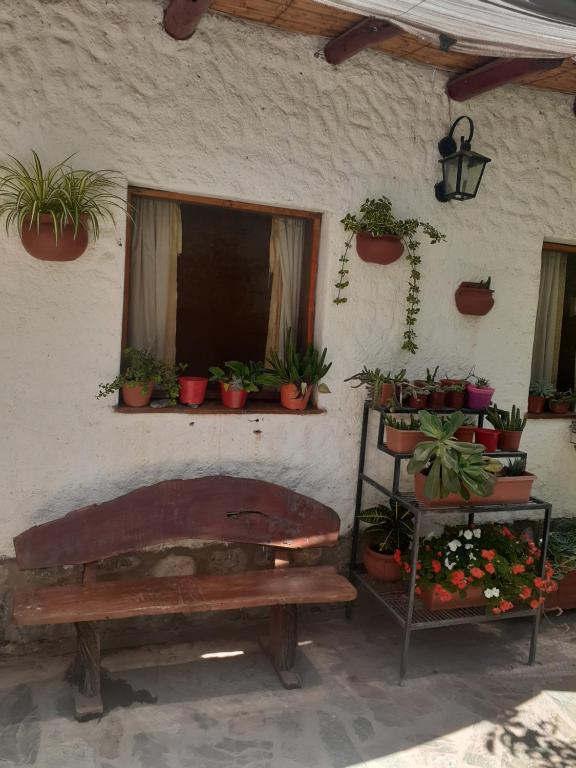 Hostal Candelaria photo