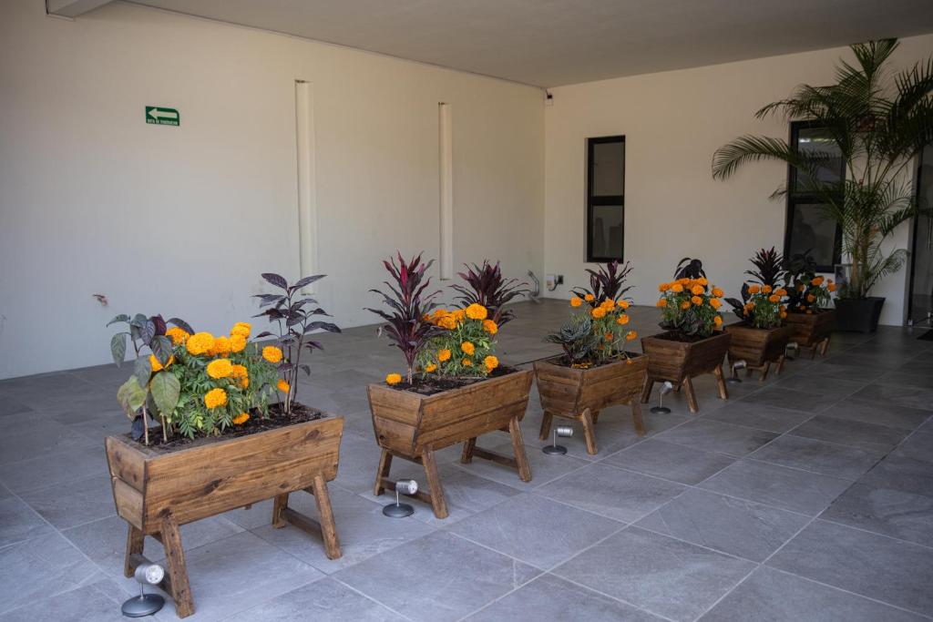Hotel Casa Jima Agave — Hotel in Tequila