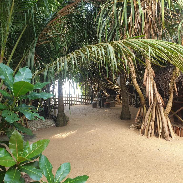 Happy Cocos Beach House photo