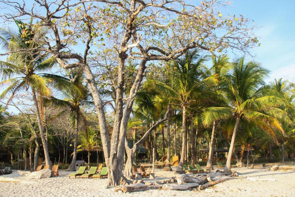 Hotel Tropico Latino photo