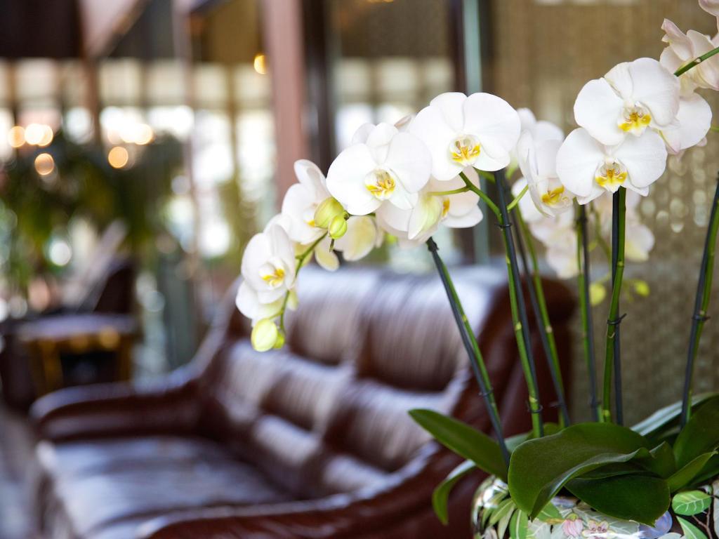 Hotel Garni Geisler photo
