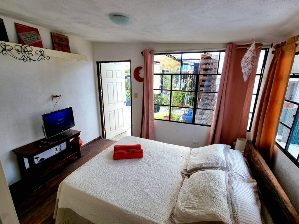 Double Room with Terrace