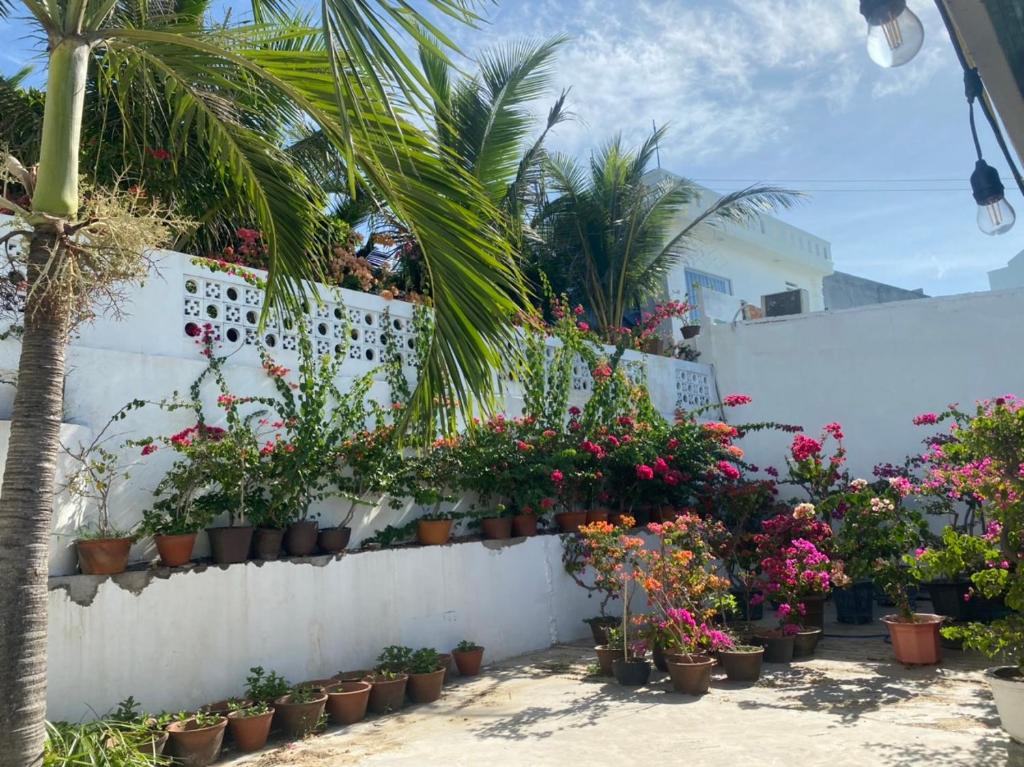 WINDY HILLS HOTEL