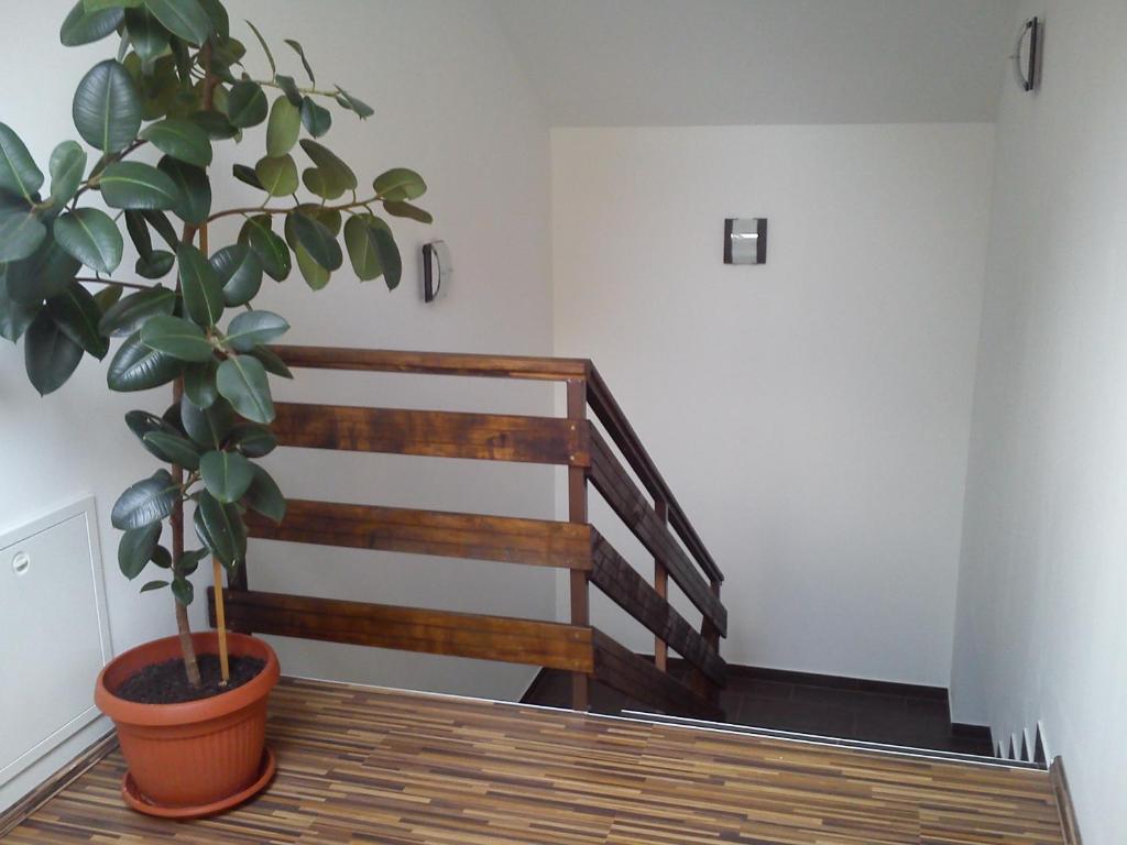 Guest House Buk Rastoke photo