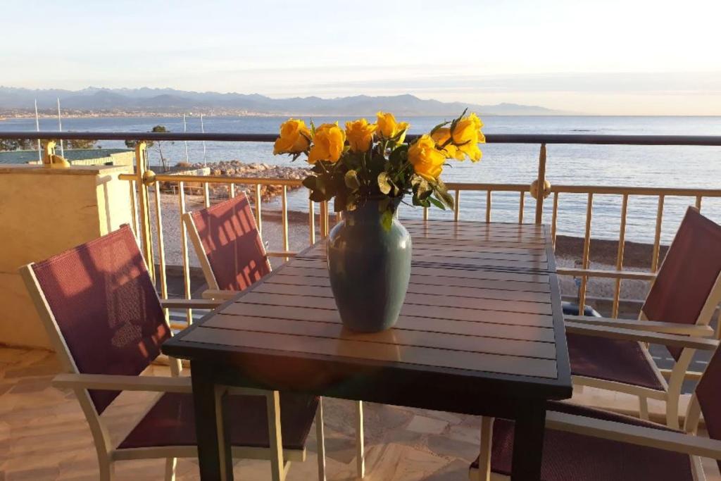 Seafront one bedroom apartment with a terrasse swimming pool and a parking - 1