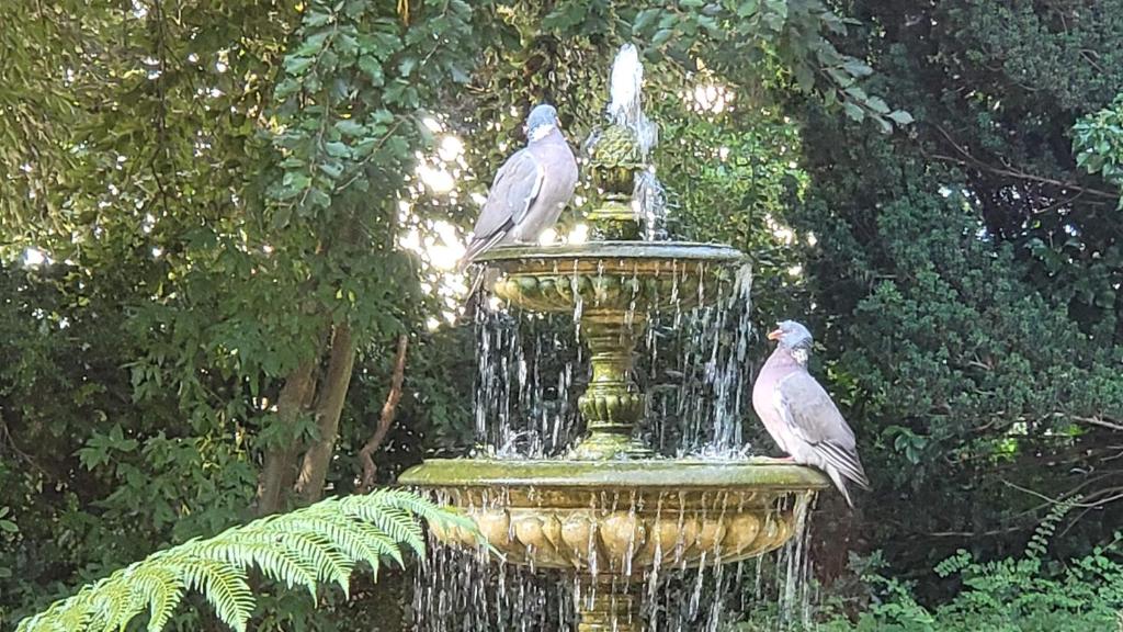 Ravenscroft B&B photo