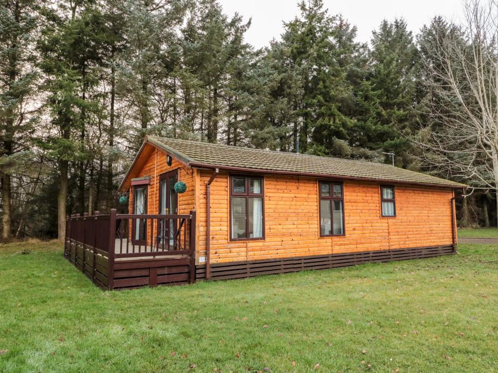 The Treeline, Morpeth