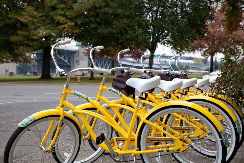 رياضة و نشاطات