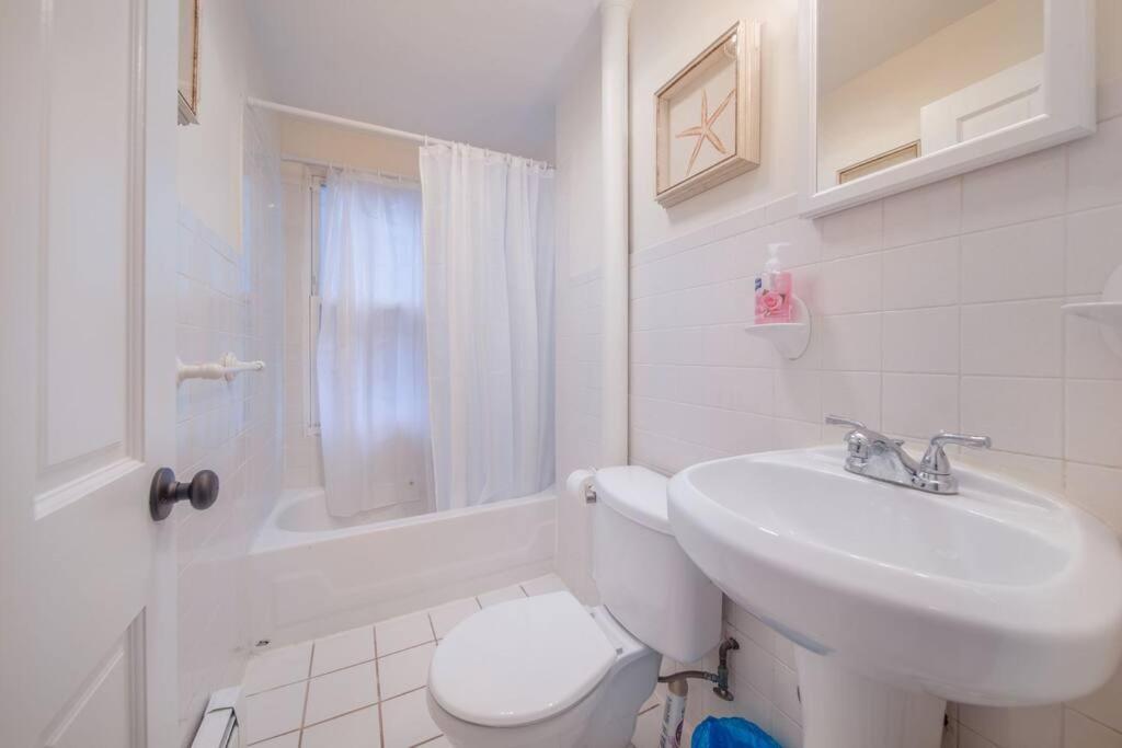 2bd Modern And Spacious Apt In The Heart Of Bos photo