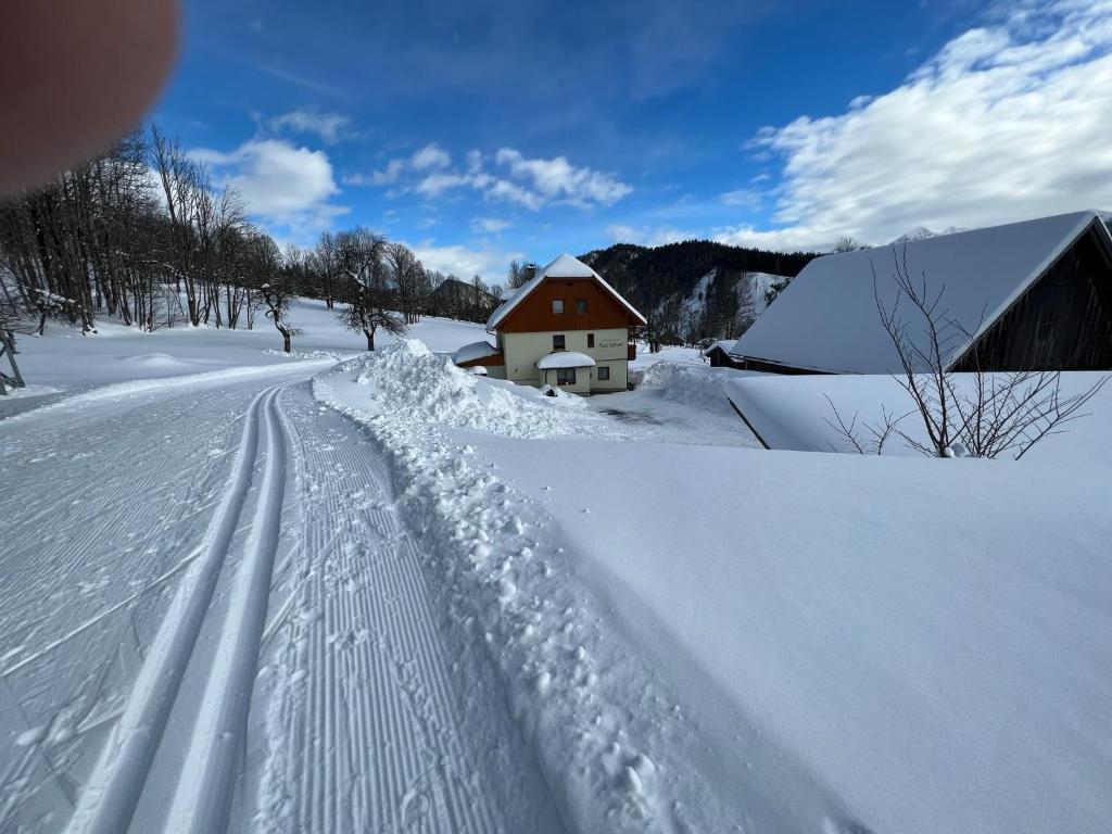 Ferienwohnung Ketterer, Ramsau am Dachstein