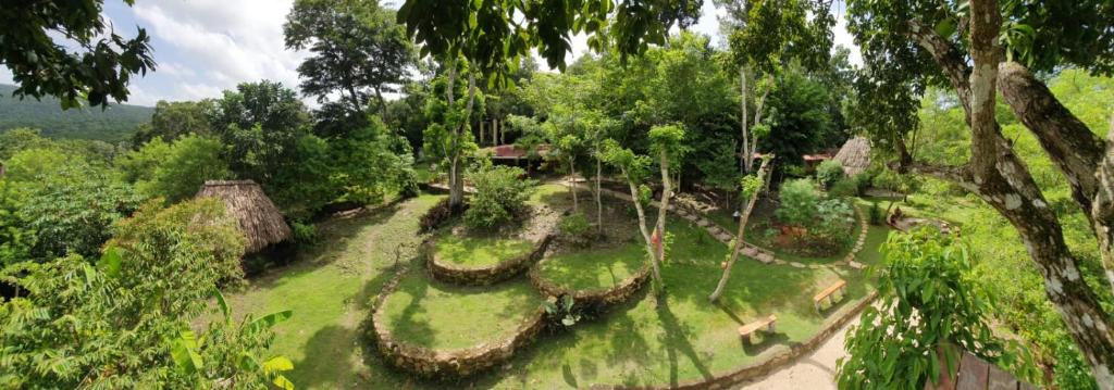 Alice Guesthouse photo