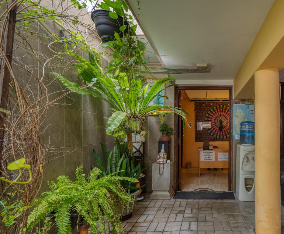 Drop Inn — Hotel in Colombo