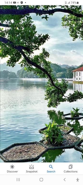 Charlton Kandy City Rest photo