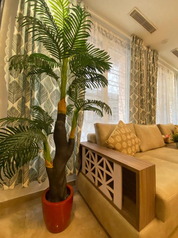 Dash Hotels photo