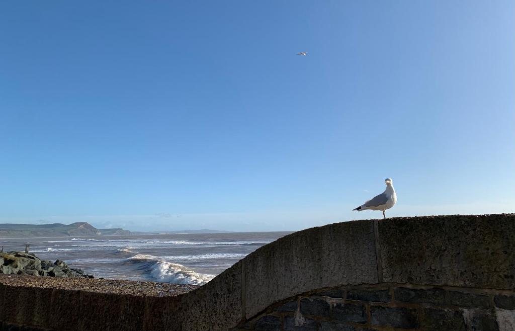 Nettle Bank photo