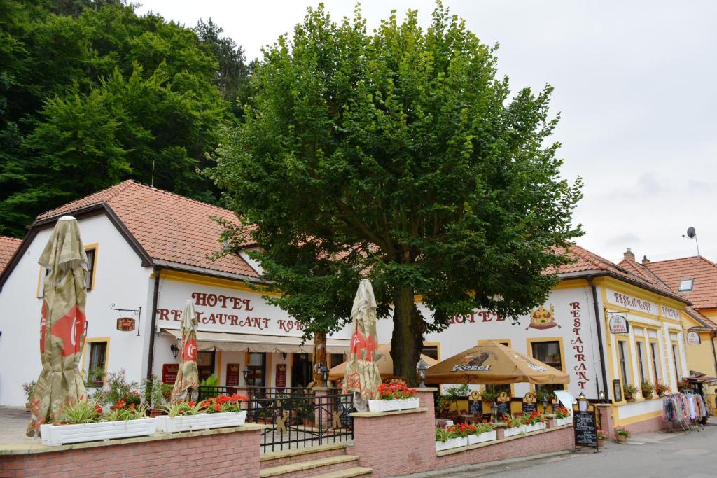 Hotel Koruna photo