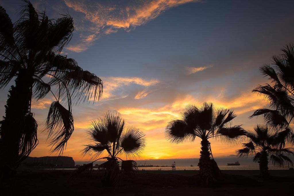 Novotel Arica photo