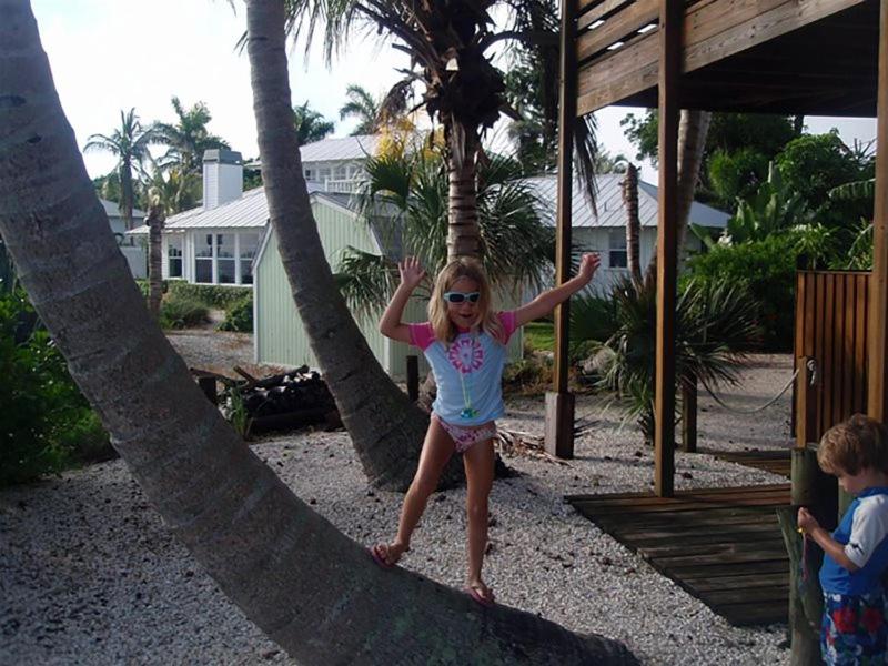 Bokeelia BeachHouse Snapper photo