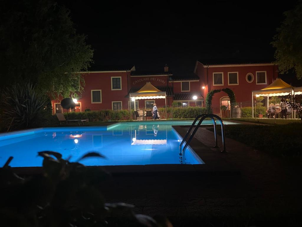 Room in Apartment - Apartment in Farmhouse