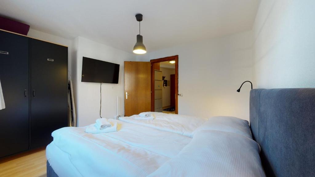 Beautiful 2 bedrooms apartment, perfectly located in Saillon - 3
