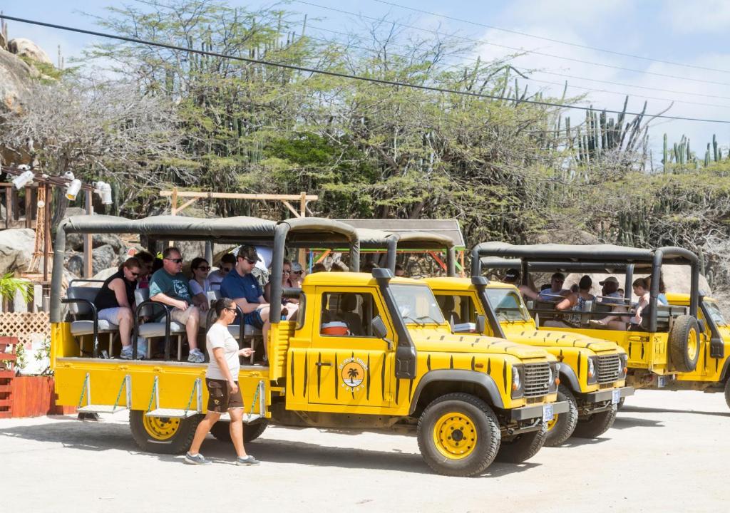 Sports and activities