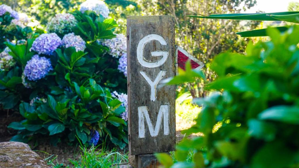 フィットネス/ジム