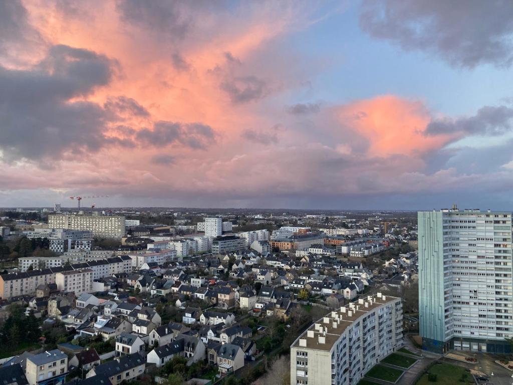 Rennes vue des Horizons - 2